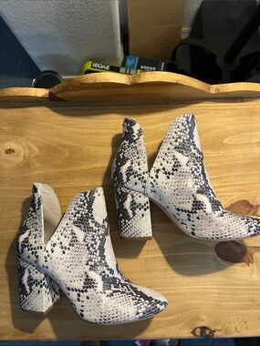 Steve Madden Rookie studded Snakeskin Print Ankle Booties i